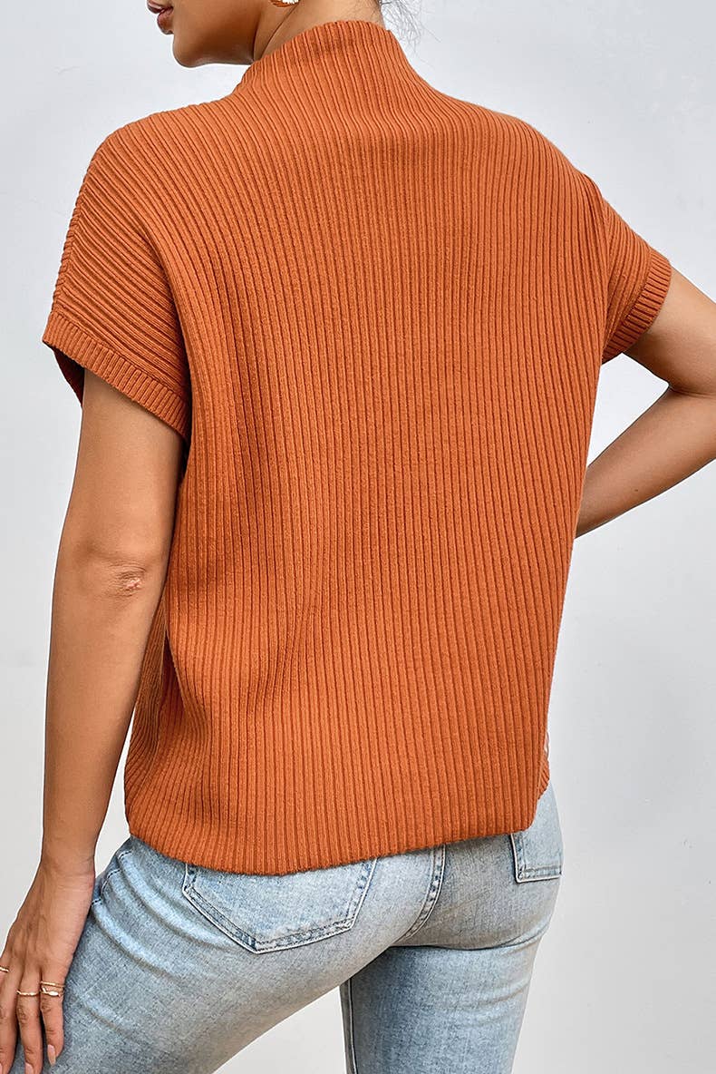 Solid color turtleneck simple thread sweater