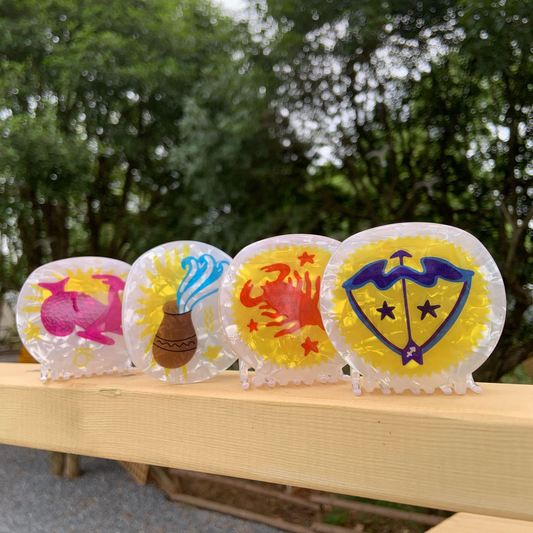 Star Sign Claw Clip ??Acrylic Cute Hair Accessor_CWAHA2141