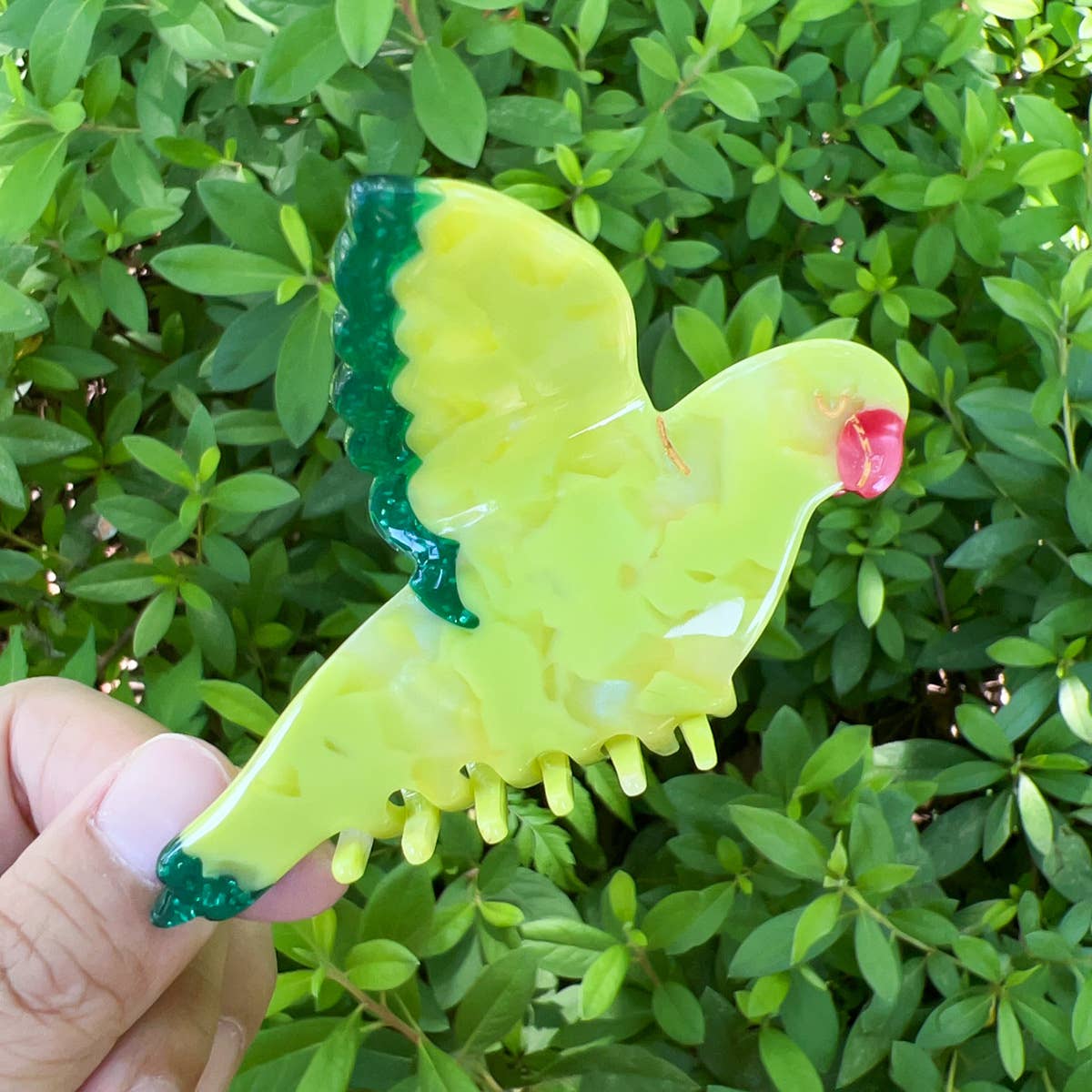 Parake-like acetate board hair clip headwear