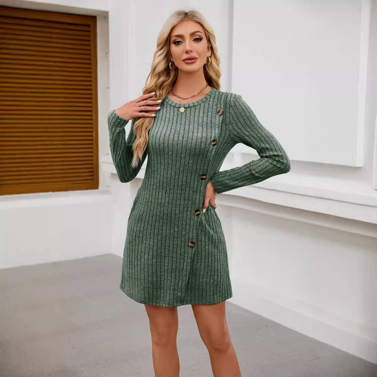 ROUND NECK SIDE BUTTON POCKET LONG SLEEVE DRESS