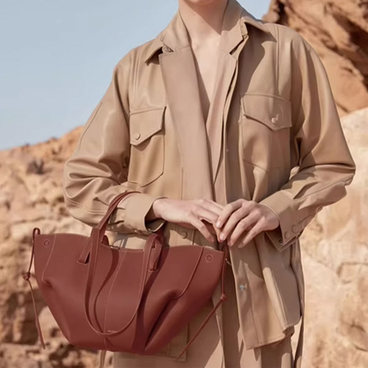 Vintage Winged Tote ? French Style Handbag_CWAB5322