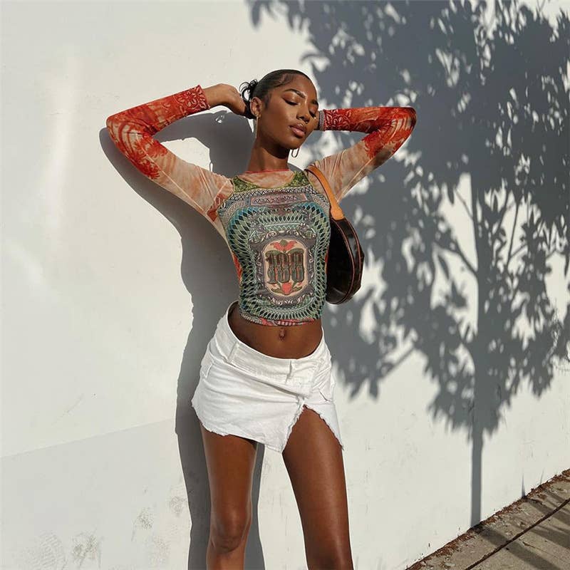 Fashion Print Colorblock Mesh Long Sleeve Top