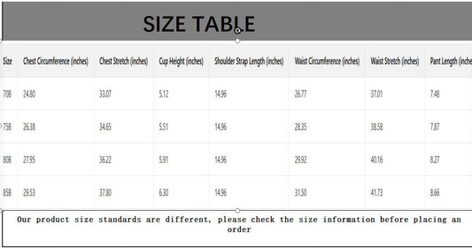 CWMU00294_SEXY LACE UNDERWIRE PUSH UP BRA SET